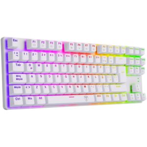 Teclado Mecanico T-Dagger T-TGK315W-BL-SP BORA RGB, White Blue switch